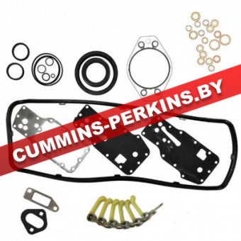 4955230  Комплект прокладок низ  Cummins (камминз / каменс)